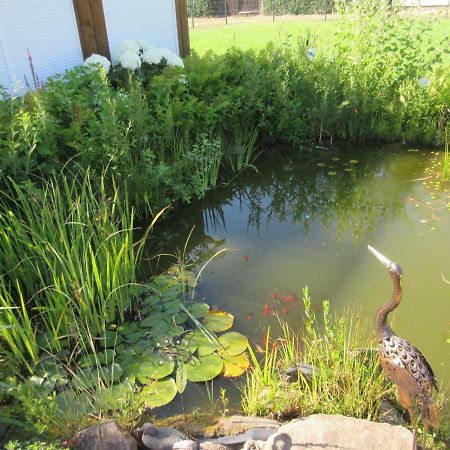Ferienwohnung Rogge Stendal Zewnętrze zdjęcie