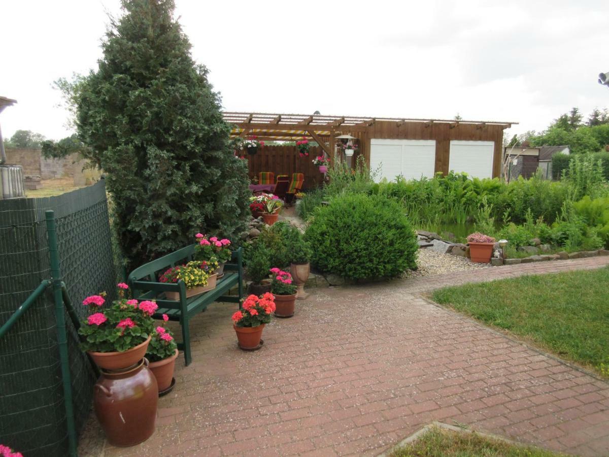 Ferienwohnung Rogge Stendal Zewnętrze zdjęcie